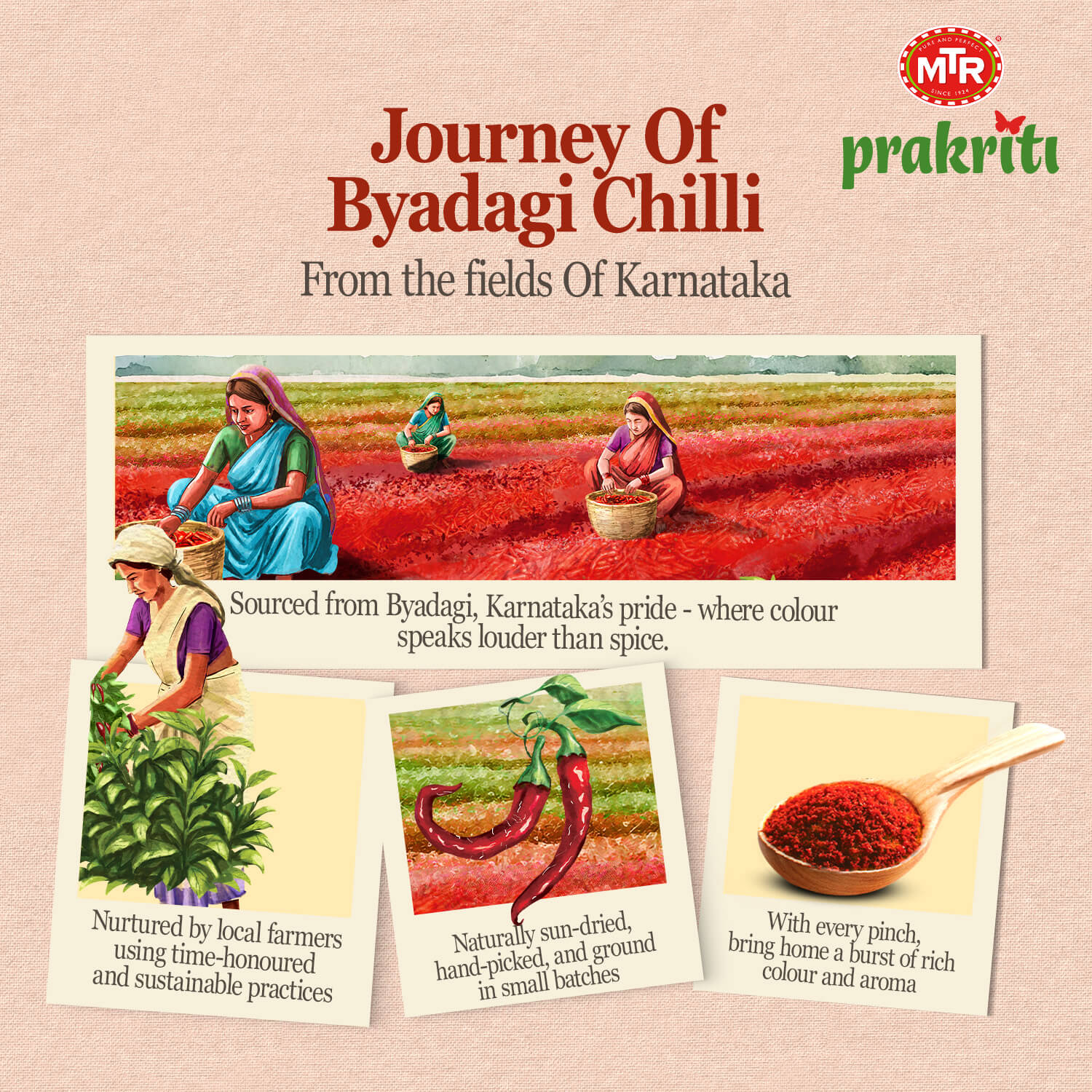 Byadagi Chilli Powder