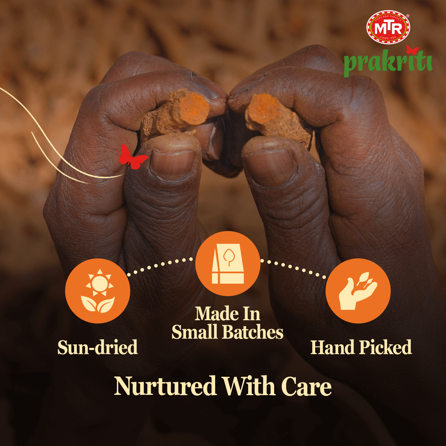 Araku Turmeric Powder