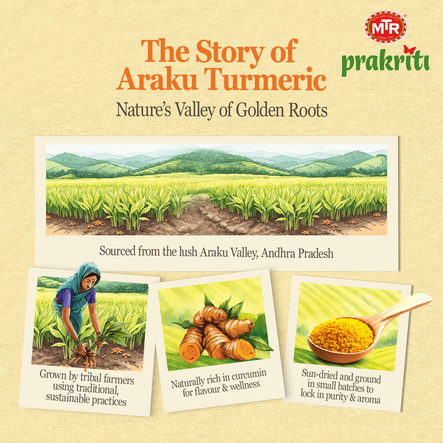 Araku Turmeric Powder