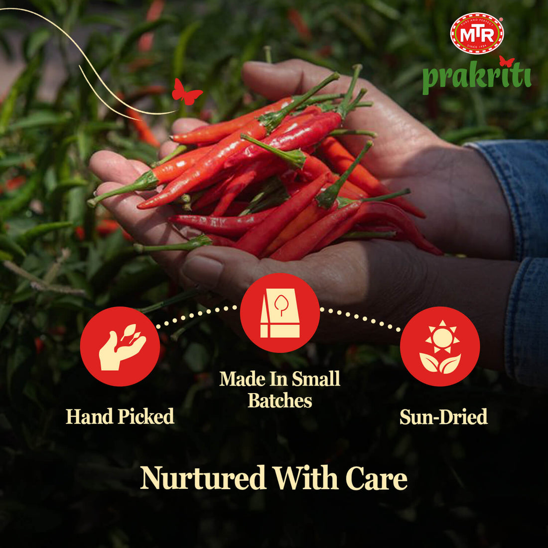Guntur Chilli Powder - 100g