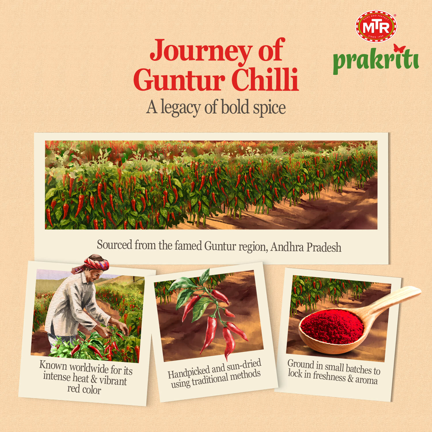 Guntur Chilli Powder